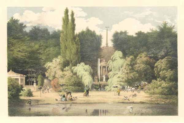 KLEVE: