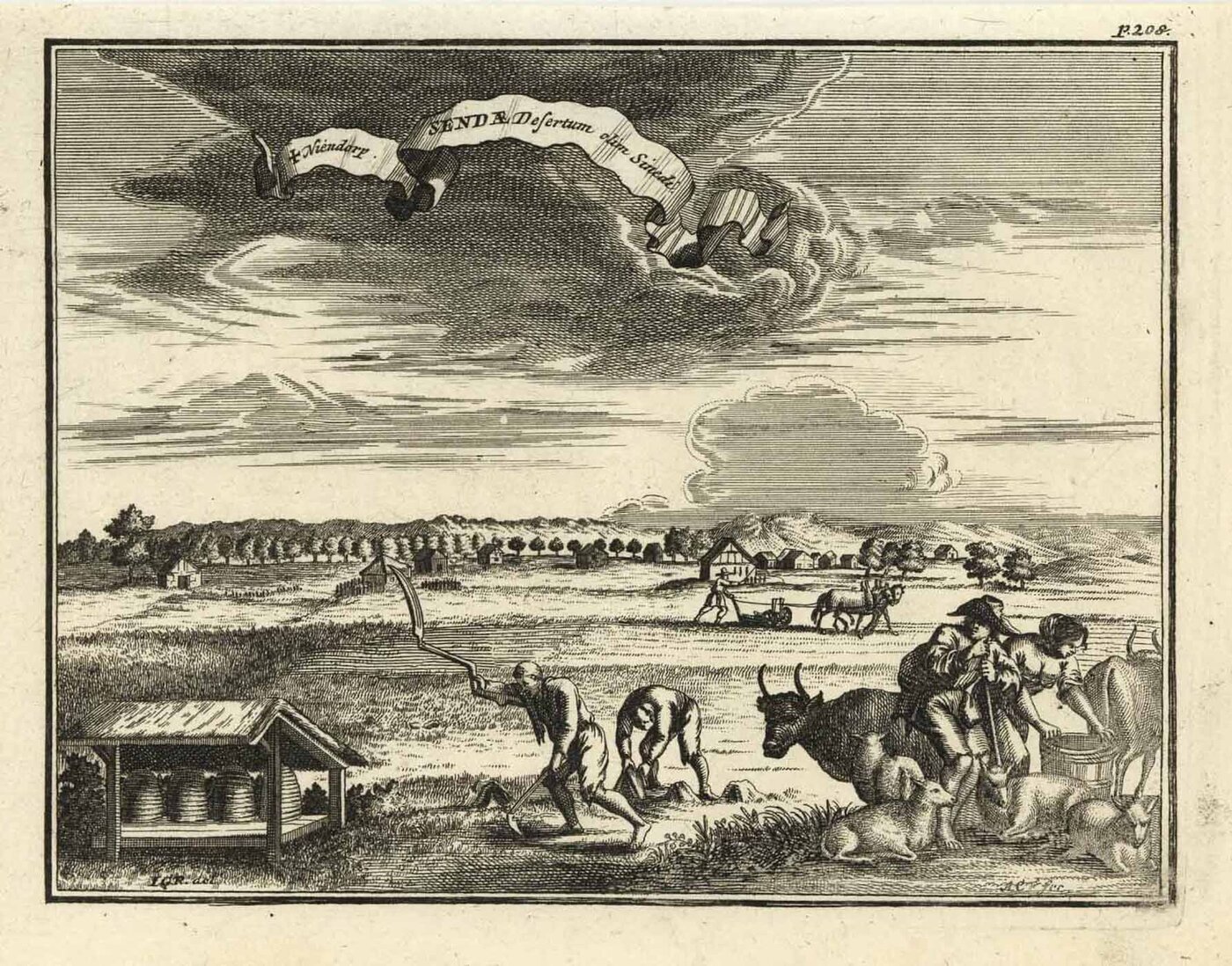 HÖVELHOF: Senne:
