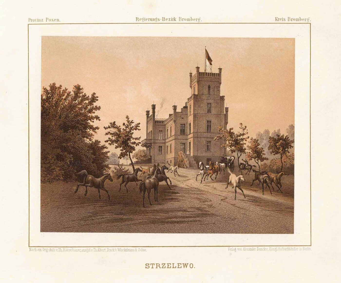 STRZELEWO (Sicienko) / Polen (Polska / Poland):
