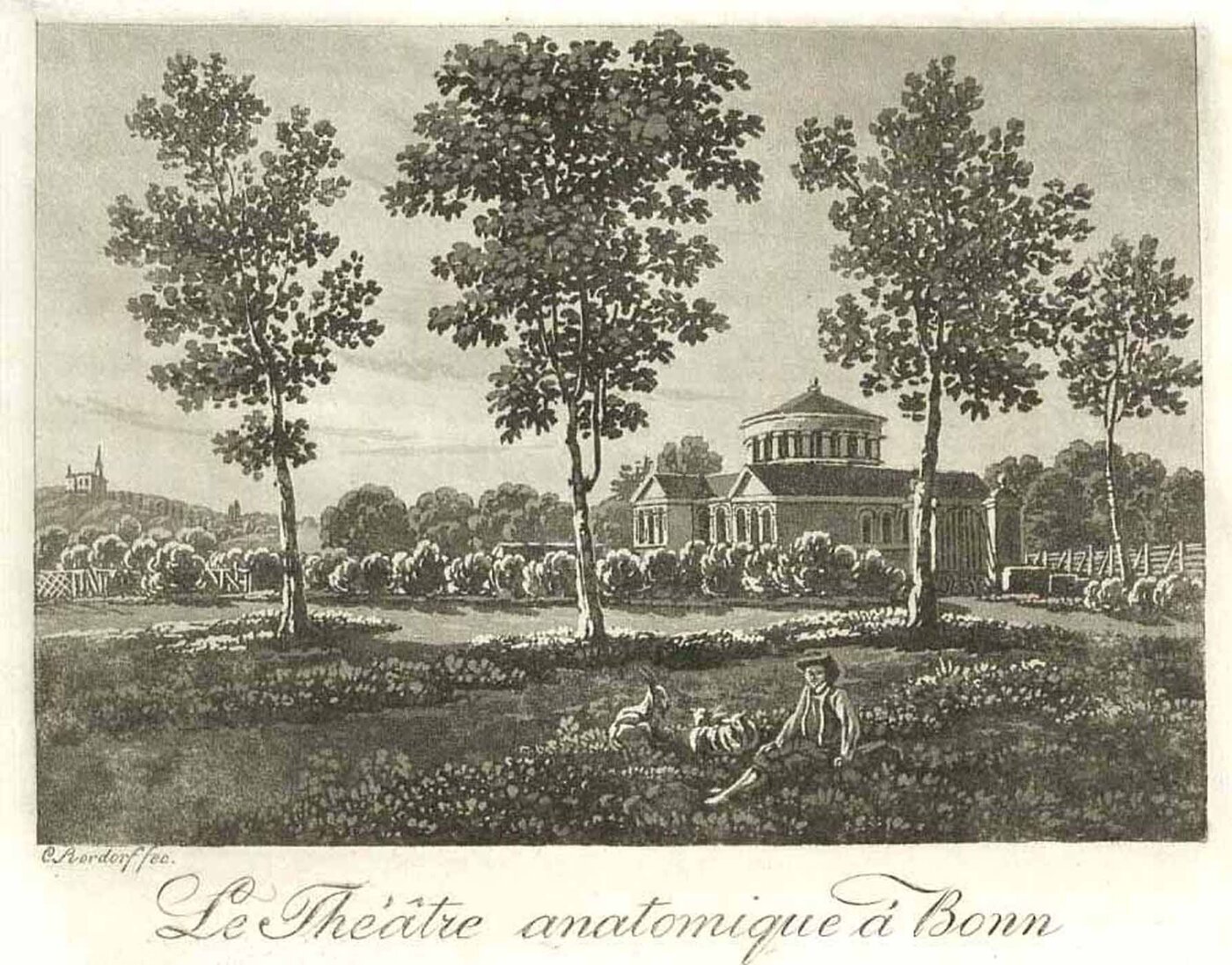 BONN: