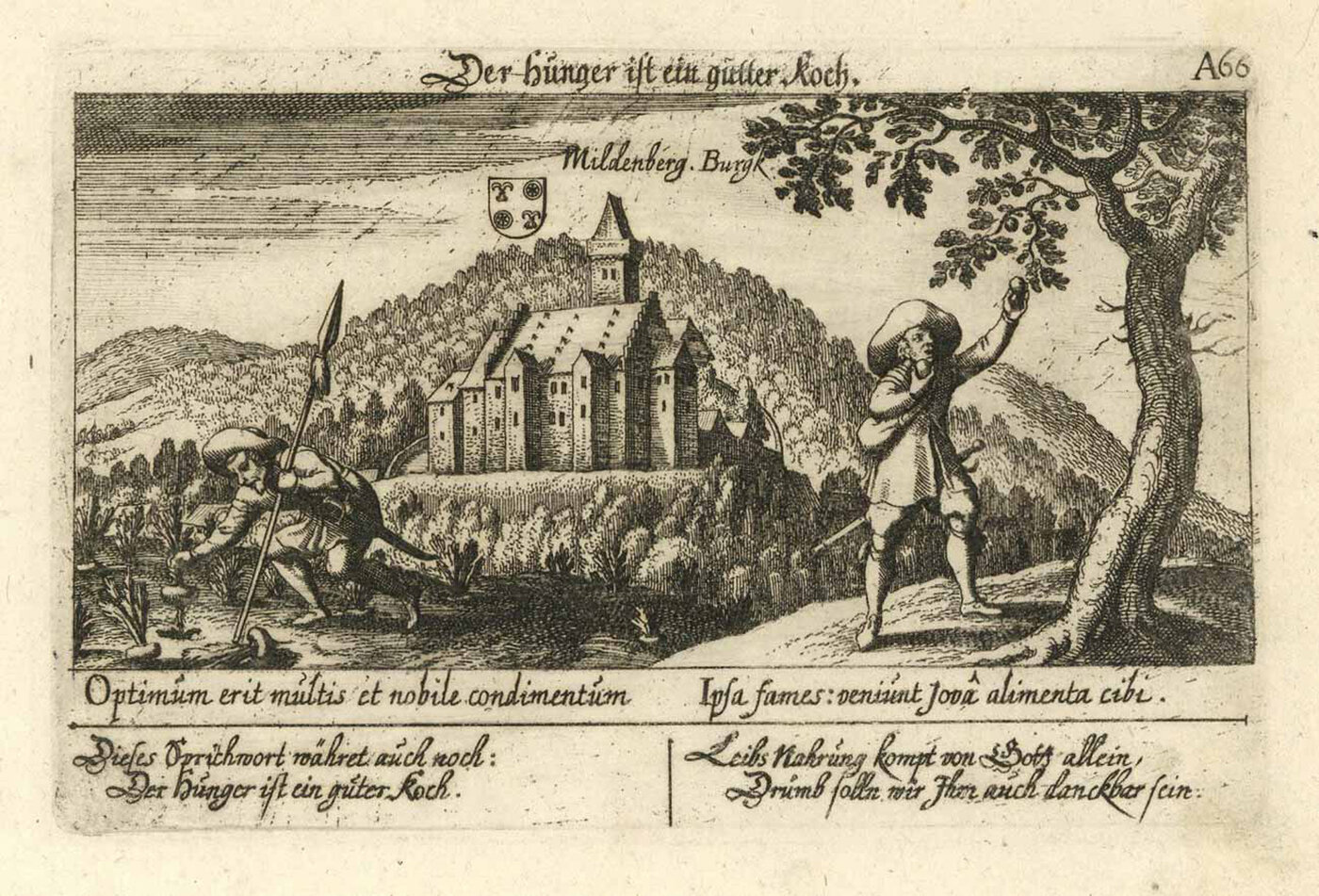 MILTENBERG: