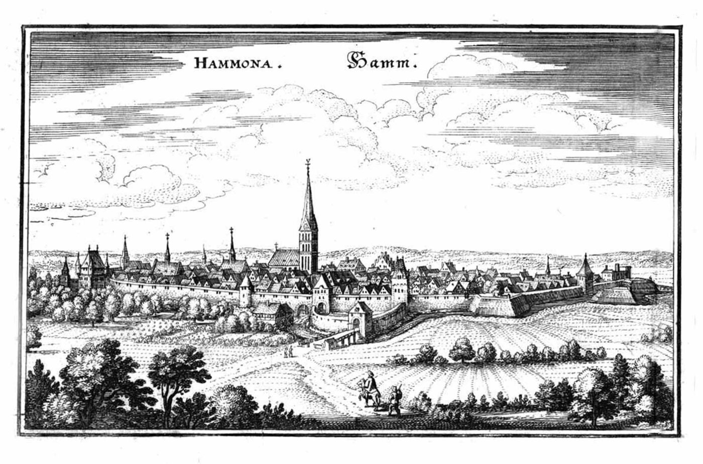 HAMM: