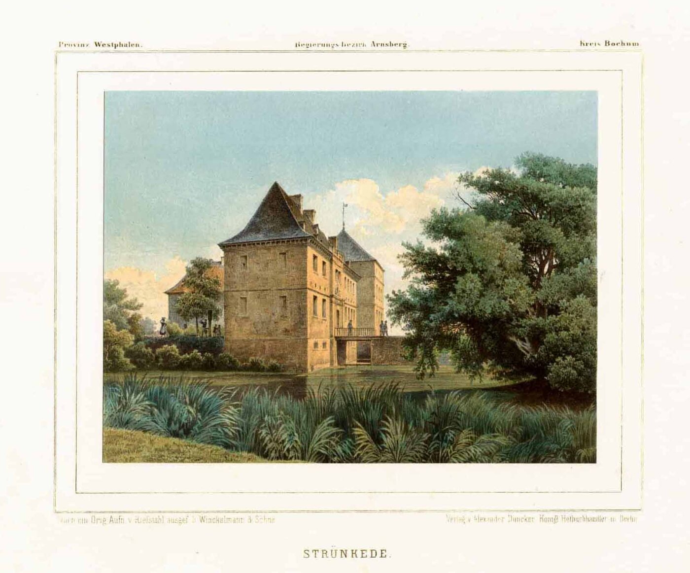 HERNE: Strünkede: