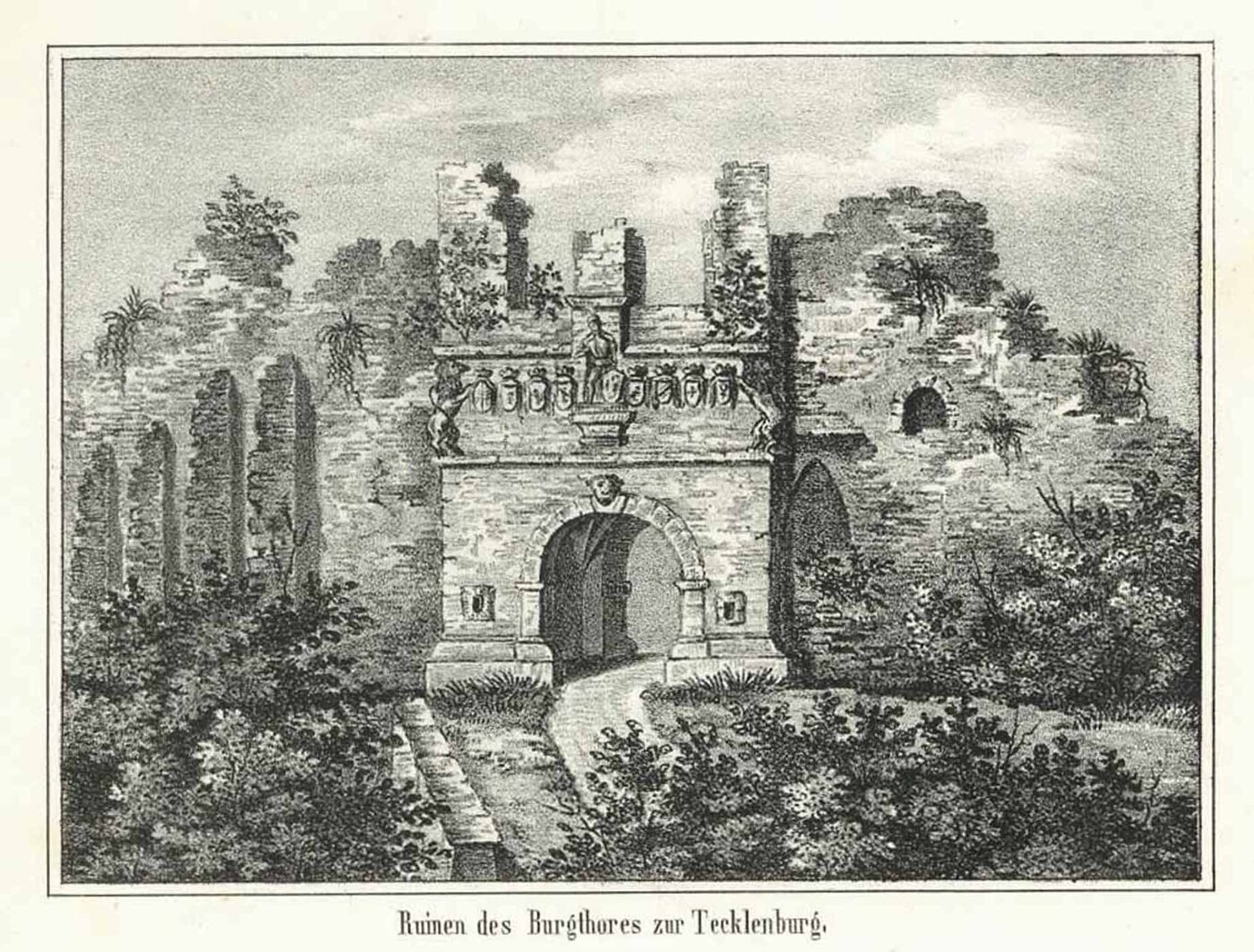 TECKLENBURG: